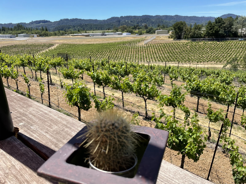 Mazzocco Sonoma Winery - Winery in Healdsburg