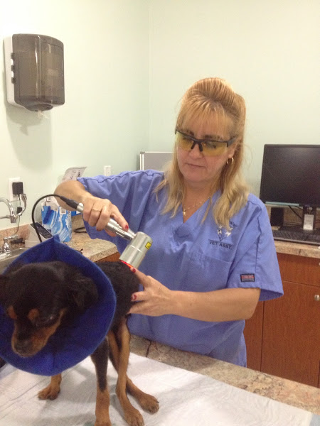 Coral Way Animal Clinic