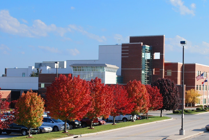 Lake Regional Occupational Medicine-Osage Beach
