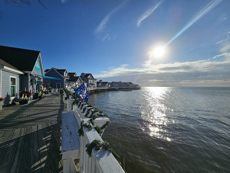 Duck's General Store photo