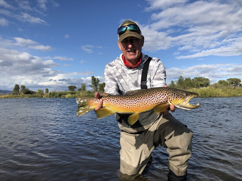 Montana Fly Guides