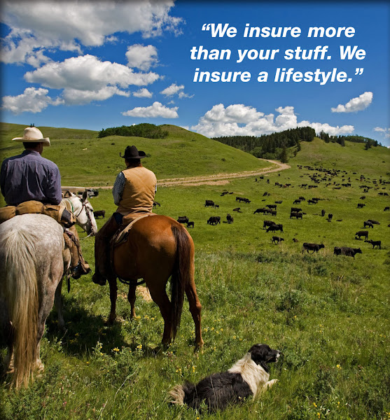 360 Insurance Company