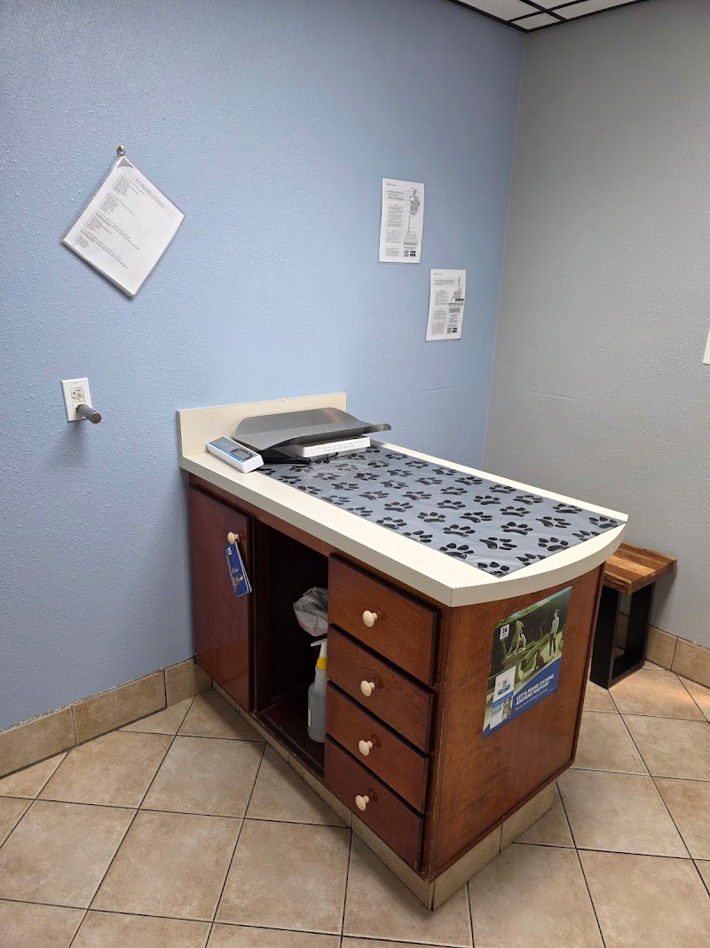 Ferry Pass Animal Hospital, LLC photo