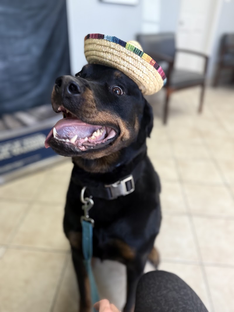 Ferry Pass Animal Hospital, LLC photo