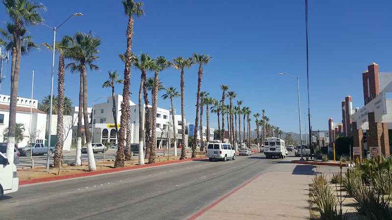 Plaza Pioneros - Shopping mall in El Medano Ejidal