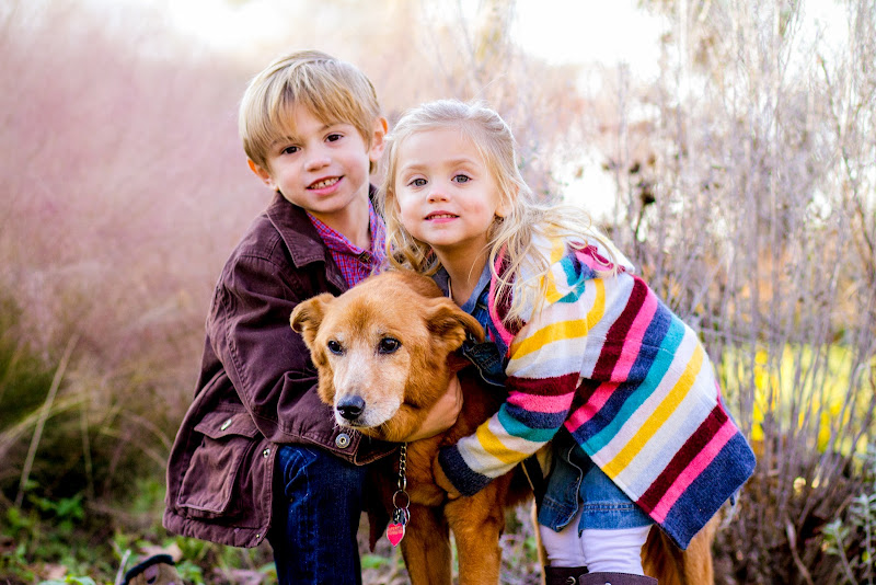 Snappr Photography - Photography service in Breckenridge