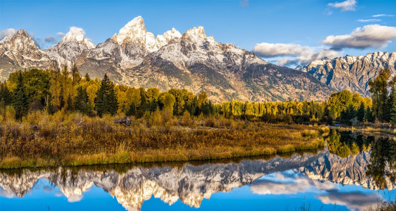 BrushBuck Wildlife Tours - Sightseeing tour agency in Jackson