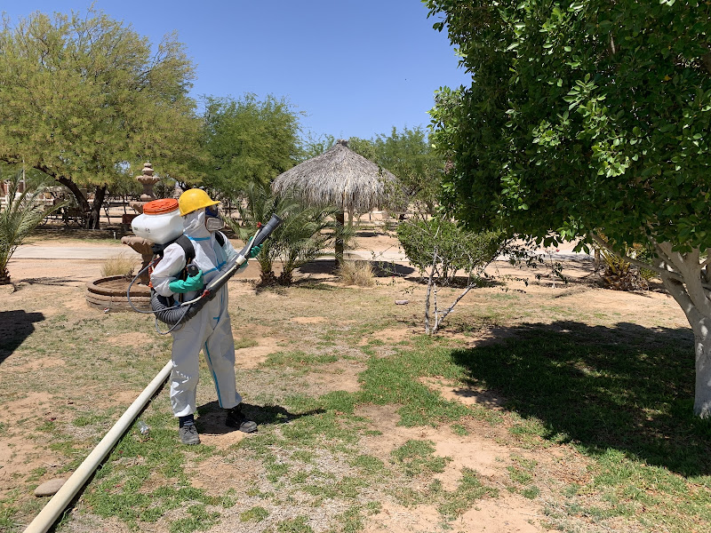 Predador - Pest control service in Av. Guillermo Prieto