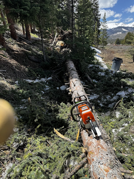 Summit County Tree Care - Tree service in Breckenridge