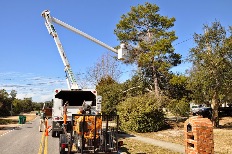 Coastline Tree Service - Landscaper in Destin