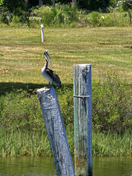 Island Bay Resort Apartments - Fitness on the Go