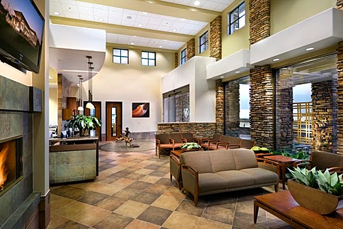 Thrive Pet Healthcare Specialists North Scottsdale photo