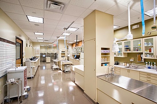 Thrive Pet Healthcare Specialists North Scottsdale photo