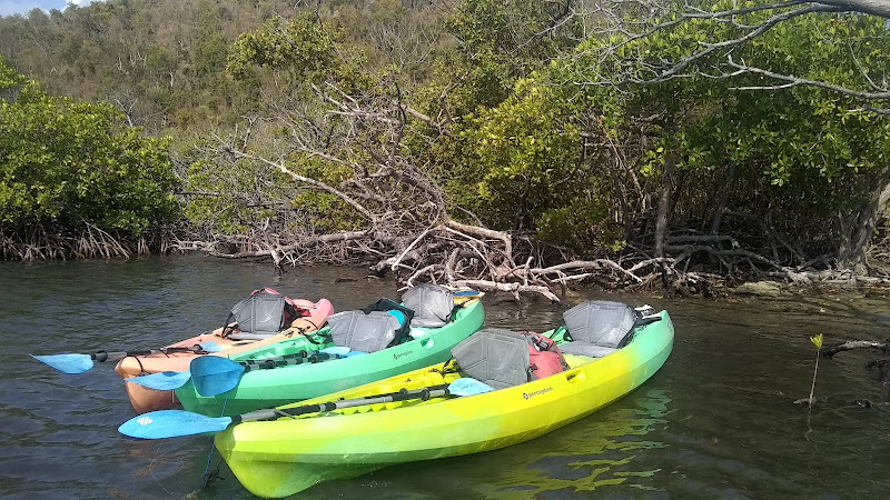 Crabbys Water Sports