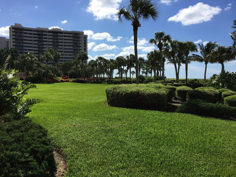 Yellowstone Landscape