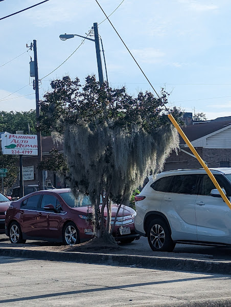 Parrish Auto Repair, Inc. - Auto repair shop in Savannah