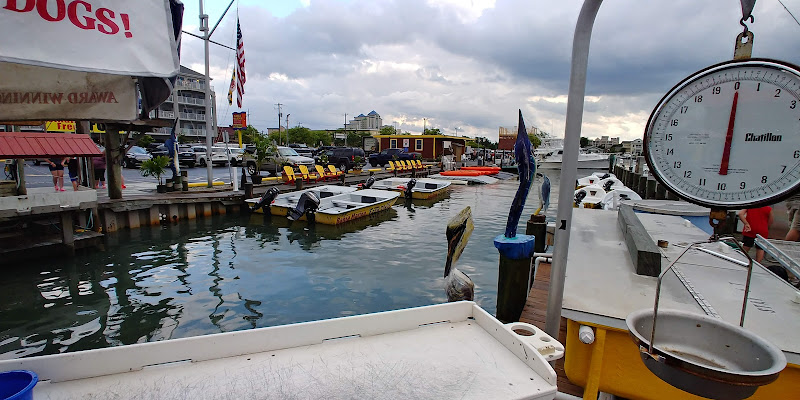 Bahia Marina at Fish Tales