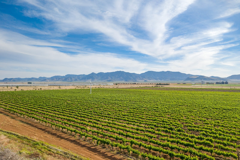 Arizona Stronghold Vineyards Old Town Scottsdale Tasting Room