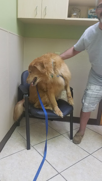 Enterprise Rd Animal Hospital, Dr Carlos Pola