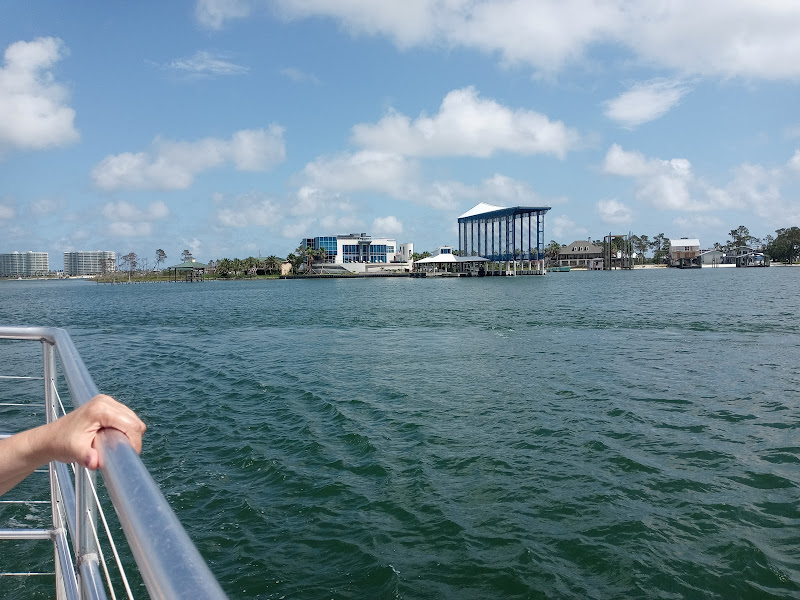 The Fun Boats Dolphin Cruises - Cruise agency in Orange Beach