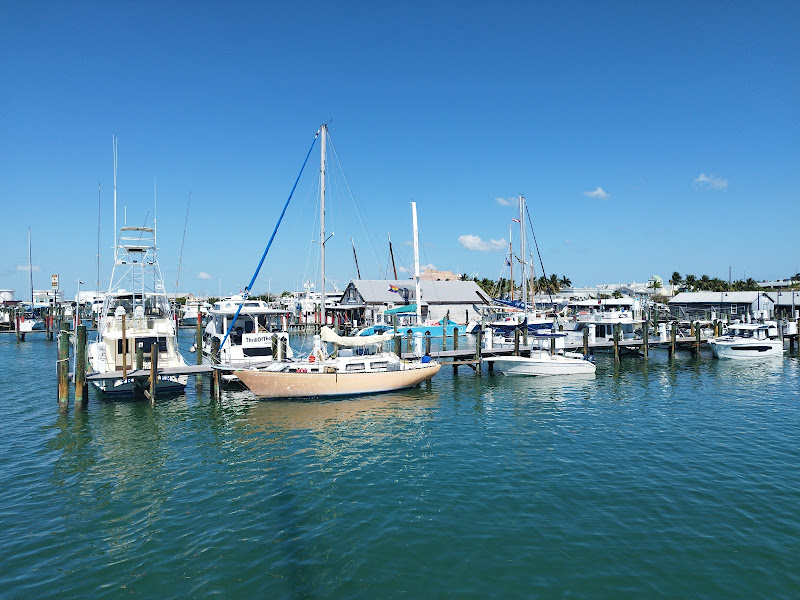 Key West Bight Marina - Marina in Key West