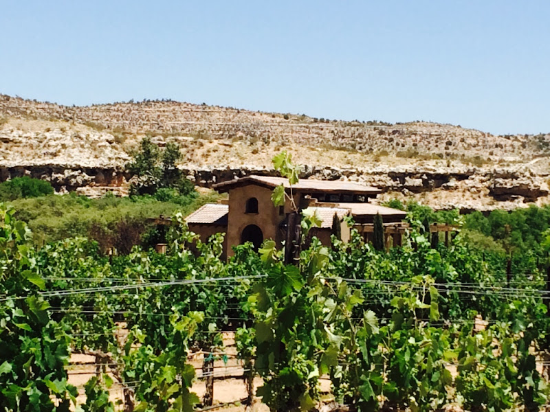 Wine Tours of Sedona - Tour operator in Sedona