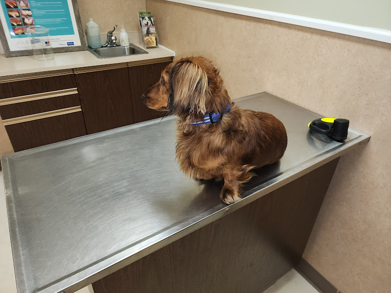 Lake Geneva Veterinary Clinic