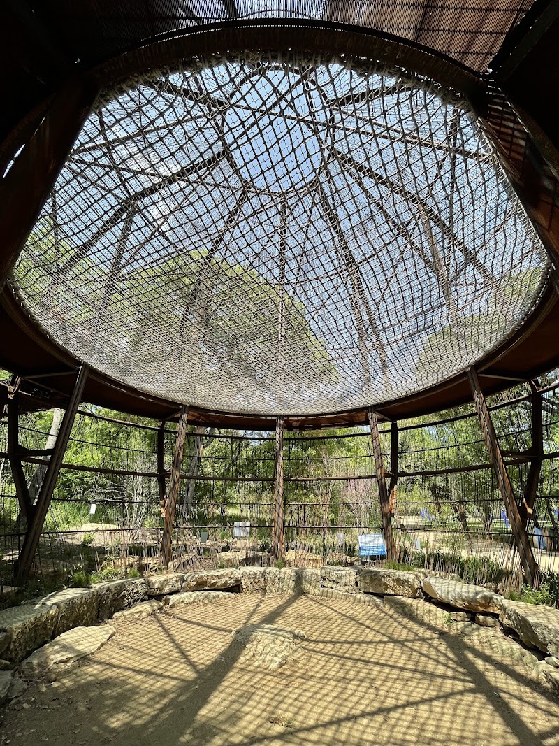 Pease Park Treehouse photo