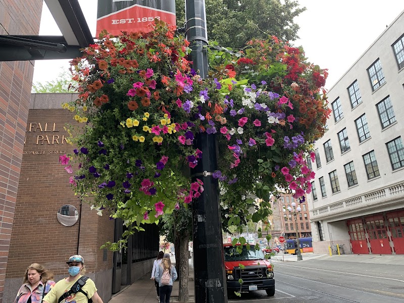 Jackson Square photo