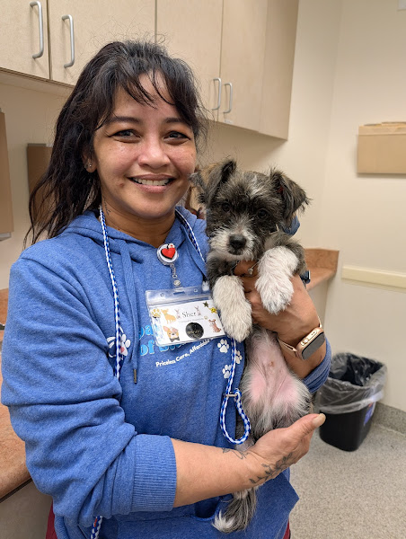 Spay & Neuter Center of Southern Nevada