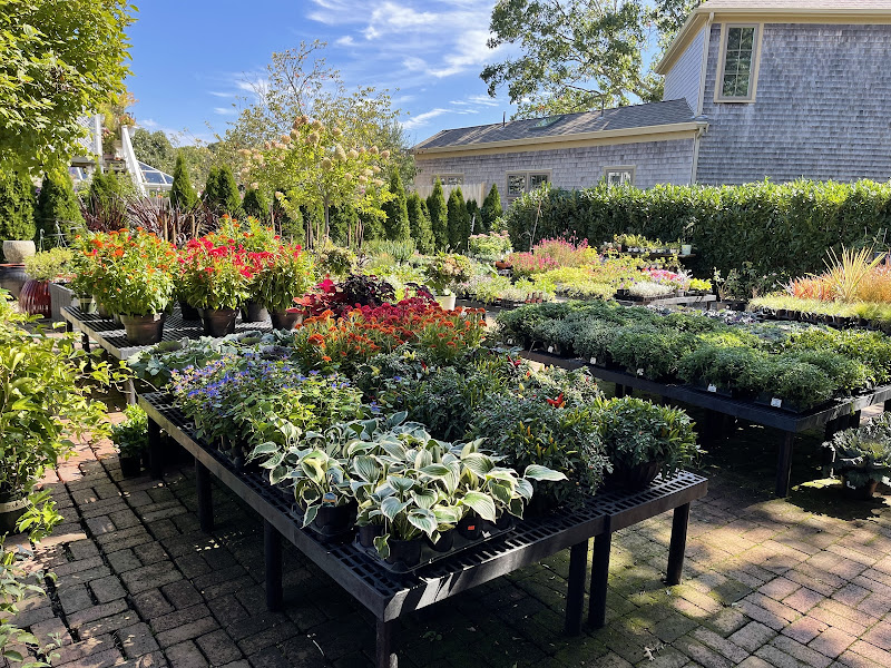 Garden Renovations Nursery - Landscaper in 43 Race Point Rd