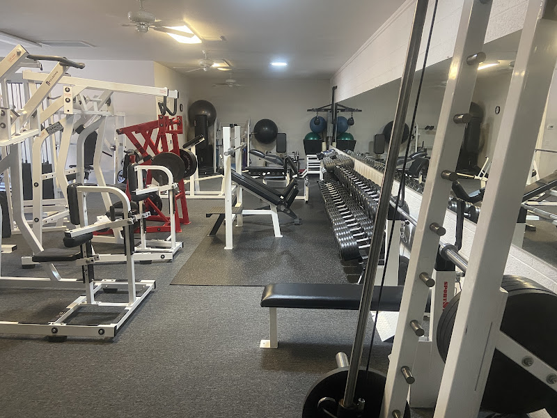 Zap NeuroFit