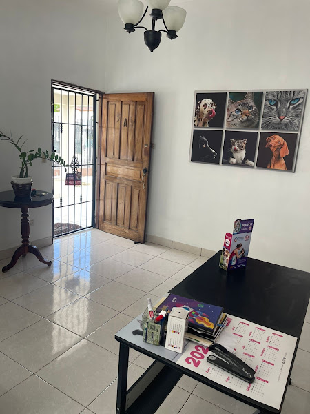 Clínica veterinaria cesvet - Veterinarian in Puerto Plata 57000