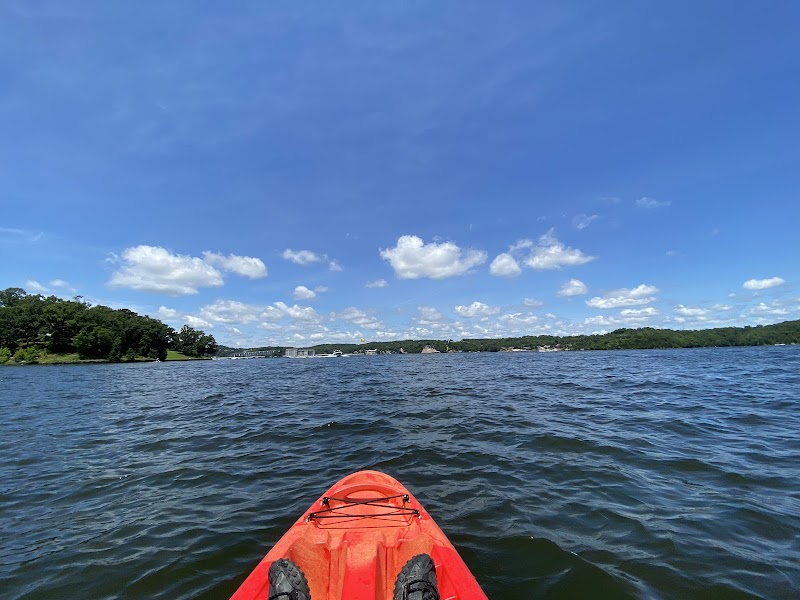 Paradise Marina and Watersports photo