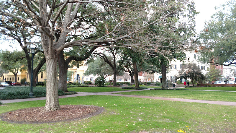 Telfair Square