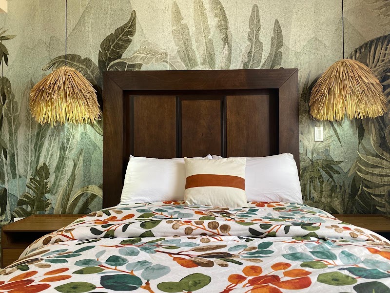 Ancla Suites Ejecutivas y Hotel photo
