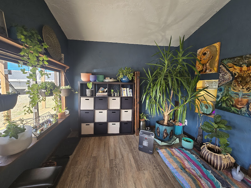 The Vibe Wellness Lounge - Wellness center in Pagosa Springs