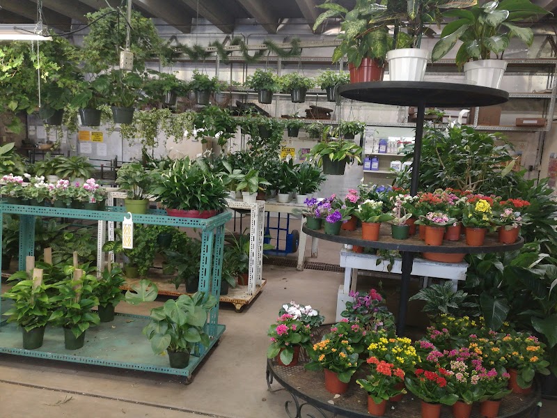 Colorado Springs Wholesale Florist - Wholesaler in Colorado Springs