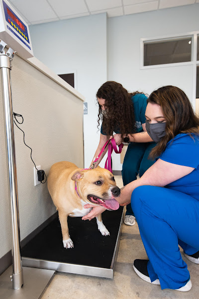 Cainhoy Veterinary Hospital - Veterinarian in Charleston