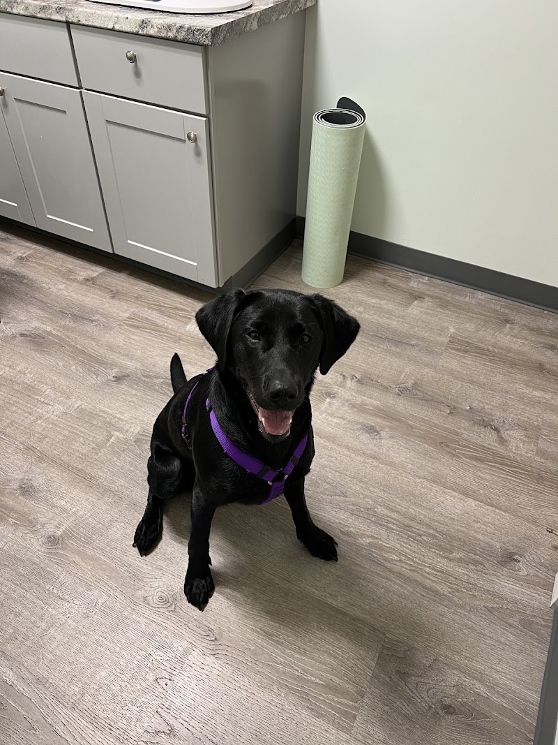 First Flight Veterinary Hospital