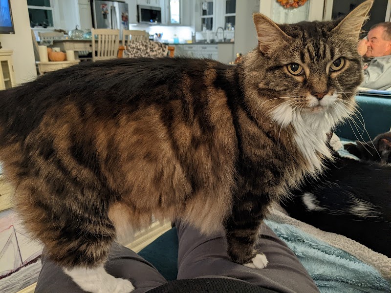 First Flight Veterinary Hospital photo