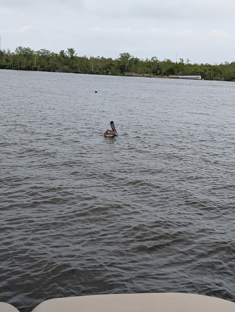 Nola Pedal Barge - Swamp Tour Party Boat photo