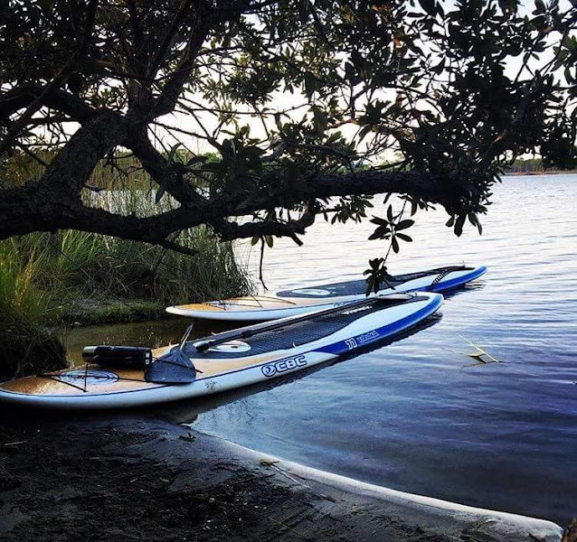 Stay Afloat - Canoe & kayak rental service in Santa Rosa Beach