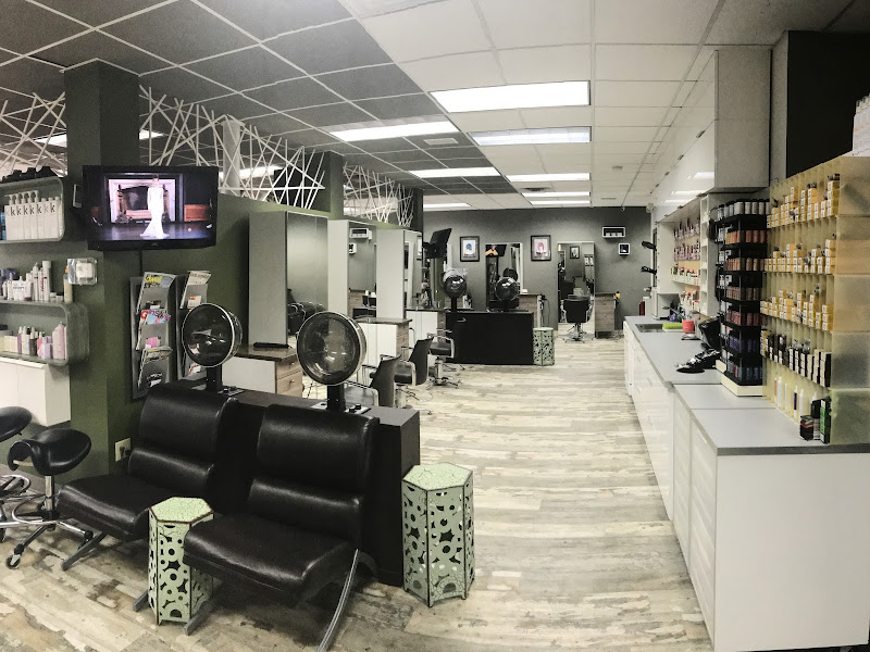 Tribeca Salon South Tampa