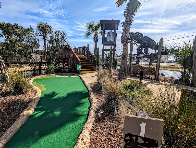 Wild Willy's Adventure Zone photo