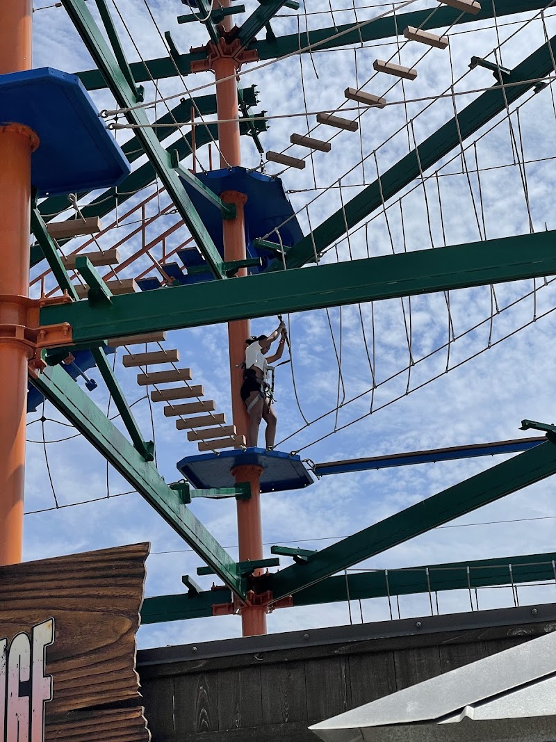 Wild Willy's Adventure Zone photo