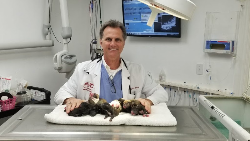 The Animalife Veterinary Center