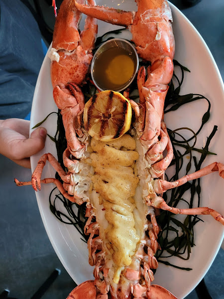 Brine Seafood & Raw Bar