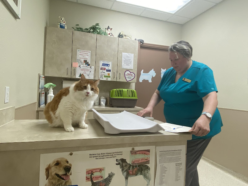 Eastside Animal Clinic