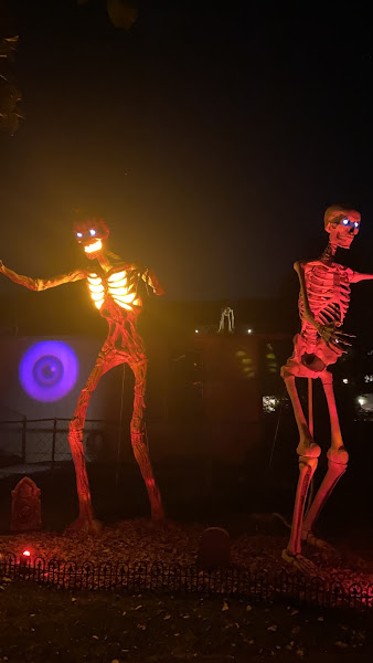 Giant Skeleton Whitefish - Tourist attraction in Whitefish